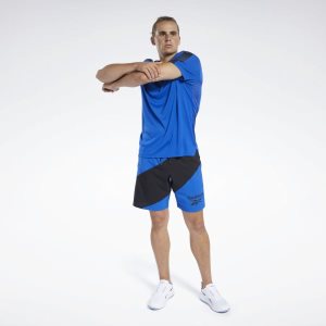 Koszulki Męskie Reebok Workout Ready Tech Niebieskie PL 10LDTHZ